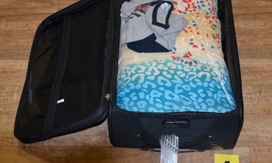 2019-1-7-848foto 2.jpg